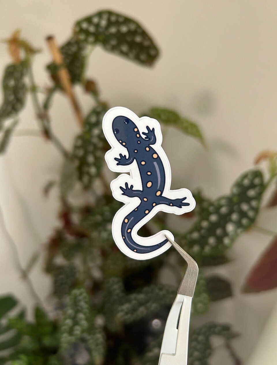 Spotted salamander vinyl sticker