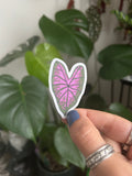 Caladium leaf vinyl sticker