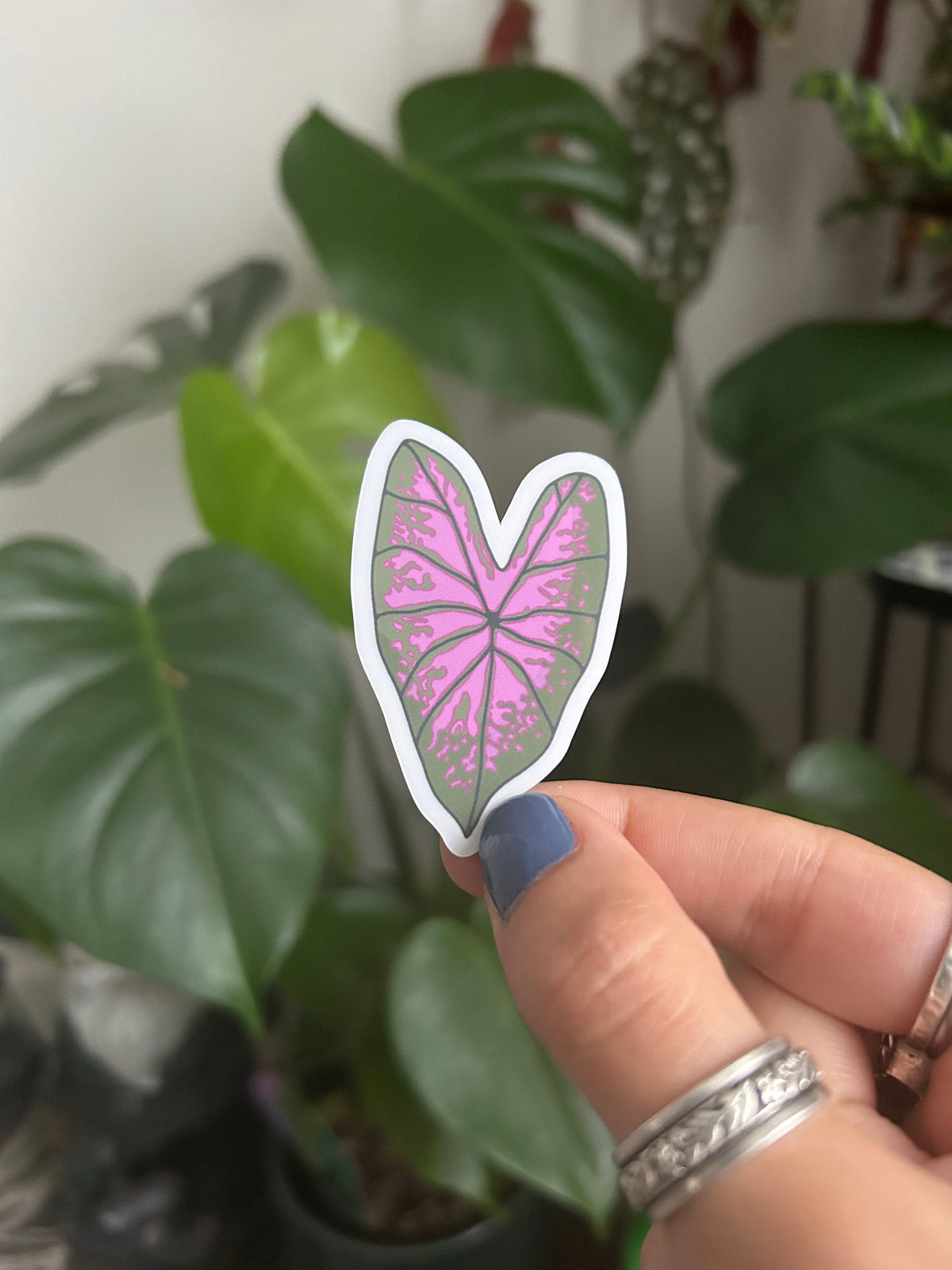Caladium leaf vinyl sticker