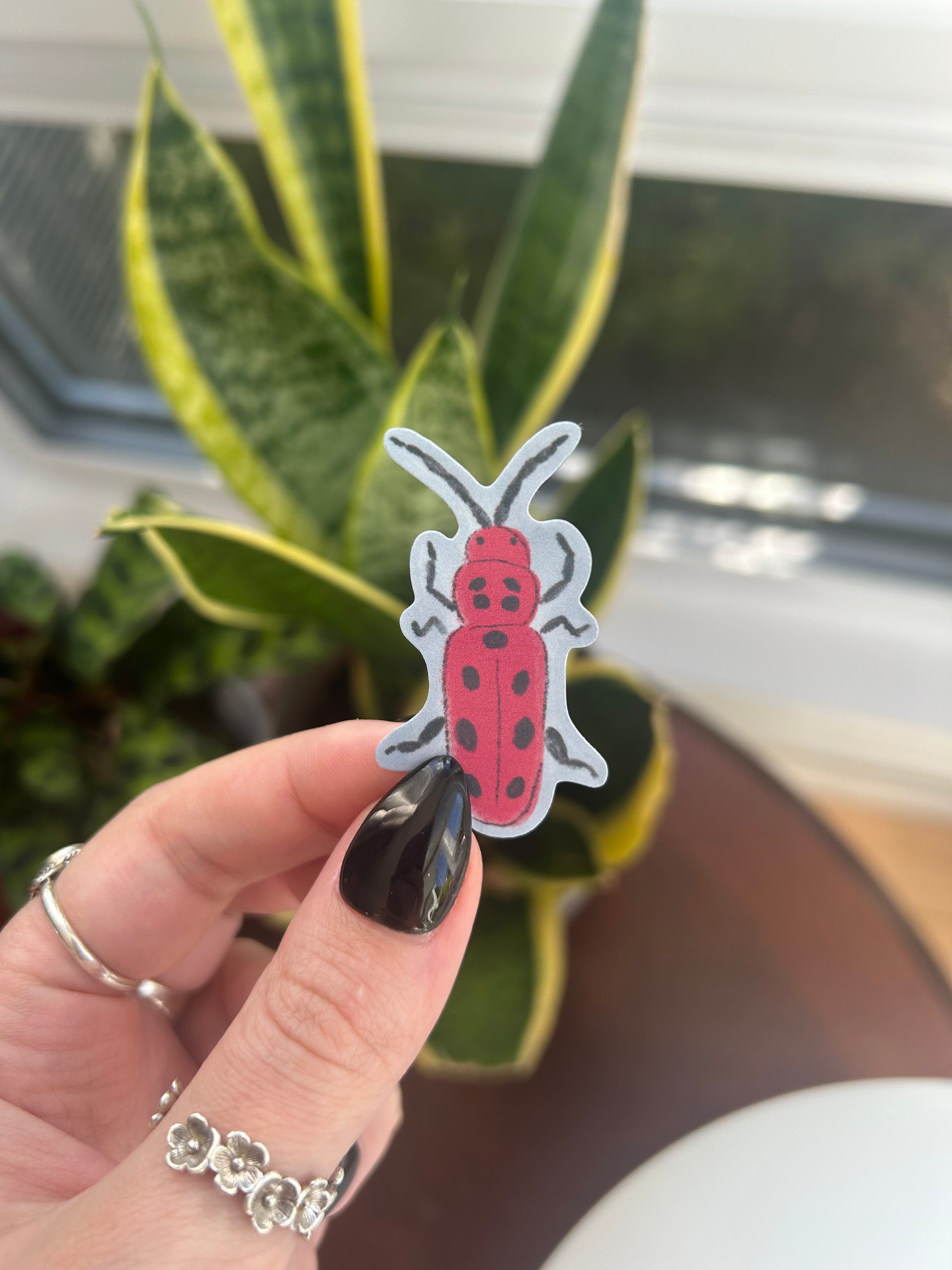 Red milkweed beetle vinyl sticker