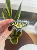Canadian tiger swallowtail vinyl sticker