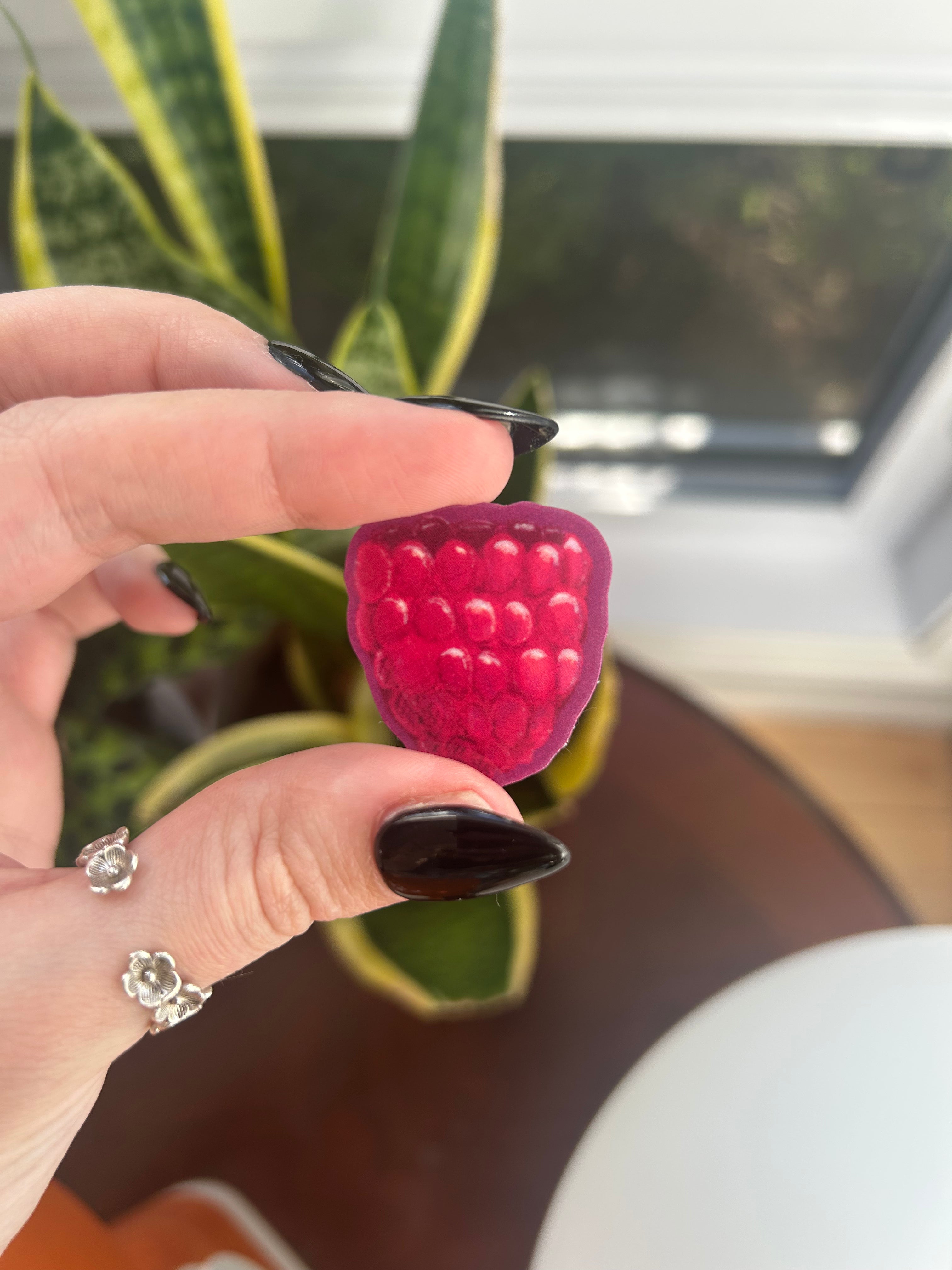 Raspberry vinyl sticker