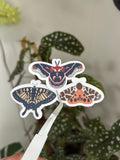 Set of 3 moth and butterfly vinyl stickers